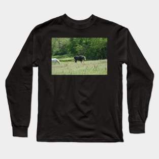 Wild Horse Long Sleeve T-Shirt